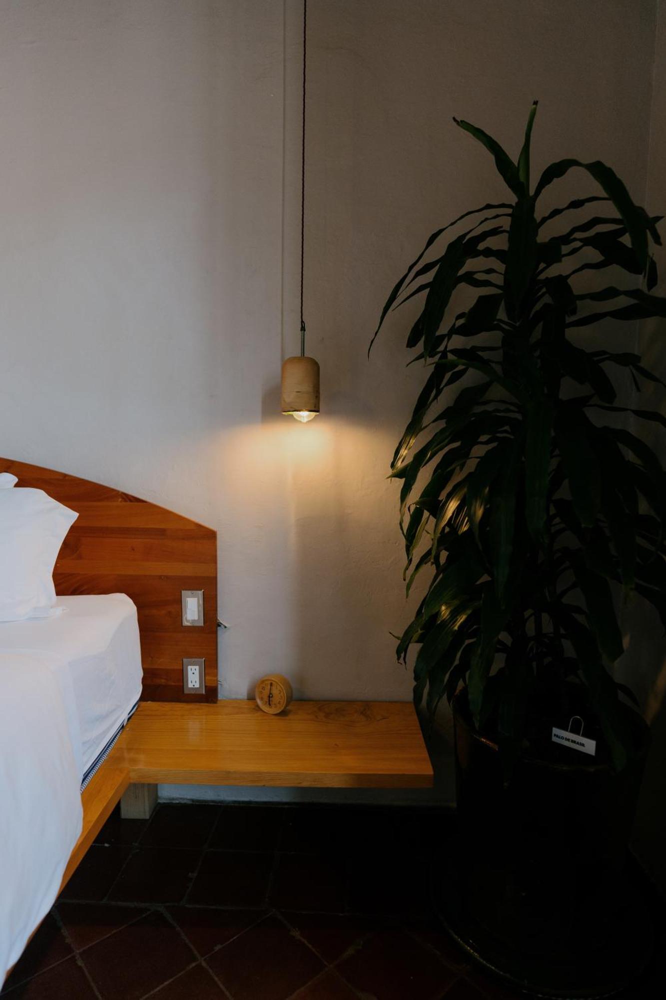 Grana B&B 오아하카주 외부 사진